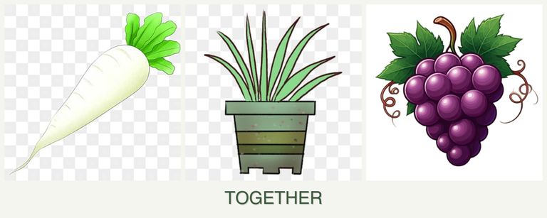 Can you plant radishes, lemongrass and grapes together?