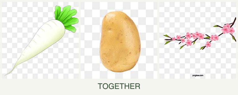 Can you plant radishes, potatoes and peaches together?