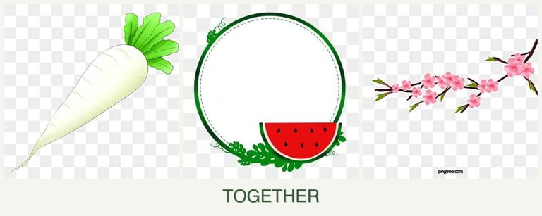 Can you plant radishes, watermelons and peaches together?