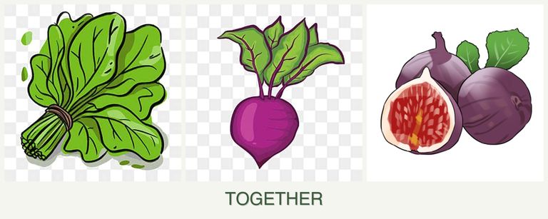 Can you plant spinach, beets and figs together?