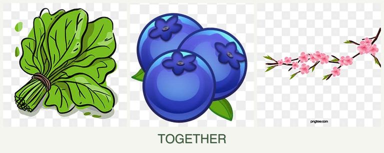 Can you plant spinach, blueberries and peaches together?