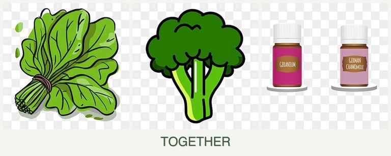 Can you plant spinach, broccoli and geraniums together?