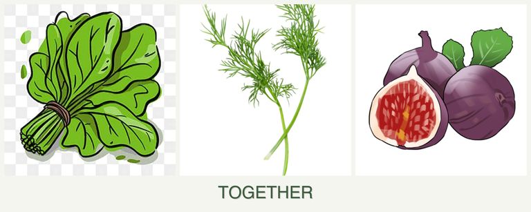 Can you plant spinach, dill and figs together?