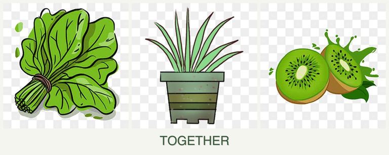 Can you plant spinach, lemongrass and kiwi together?