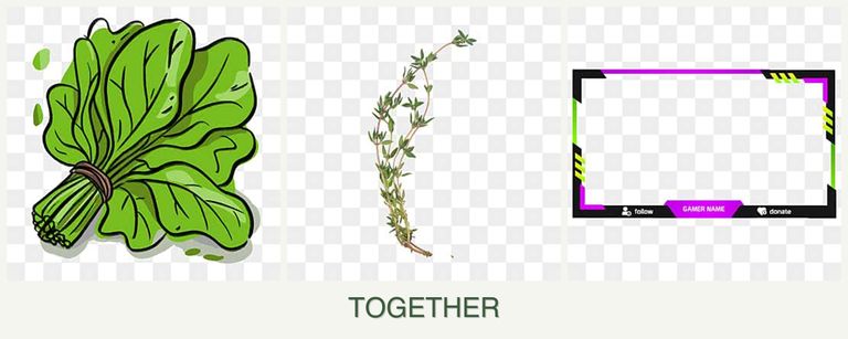 Can you plant spinach, thyme and limes together?