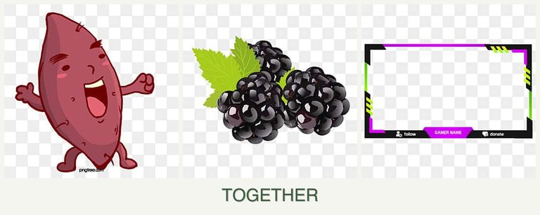 Can you plant sweet potatoes, blackberries and limes together?