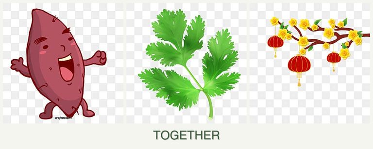 Can you plant sweet potatoes, parsley and apricots together?
