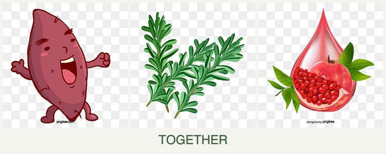 Can you plant sweet potatoes, rosemary and pomegranates together?