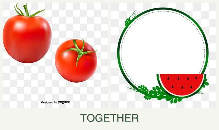 Can you plant tomatoes and watermelons together?