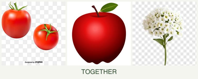 Can you plant tomatoes, apples and alyssum together?