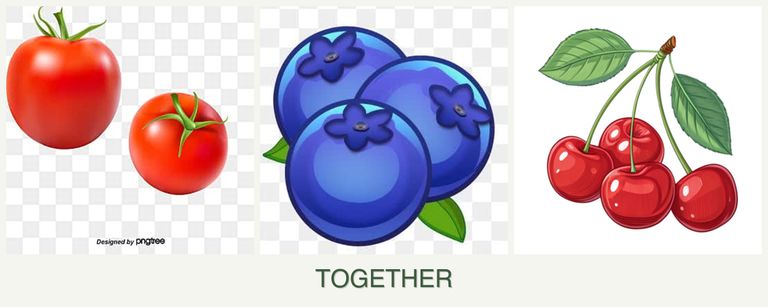 Can you plant tomatoes, blueberries and cherries together?