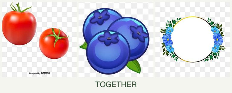 Can you plant tomatoes, blueberries and zinnias together?