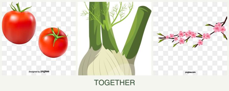 Can you plant tomatoes, fennel and peaches together?