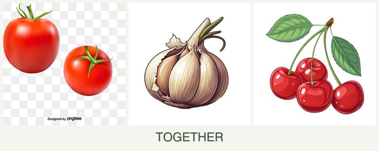 Can you plant tomatoes, garlic and cherries together?