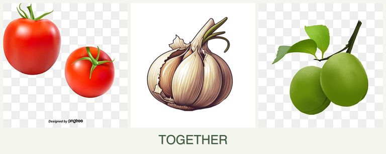 Can you plant tomatoes, garlic and plums together?