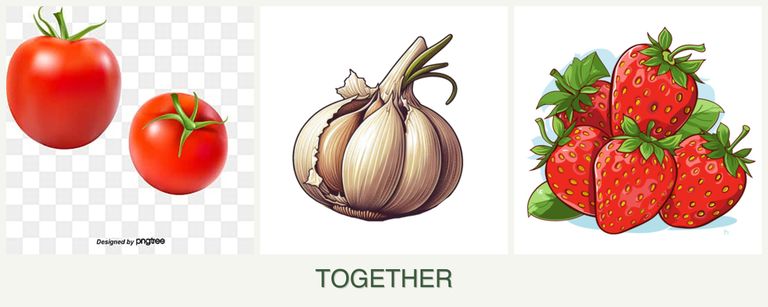 Can you plant tomatoes, garlic and strawberries together?