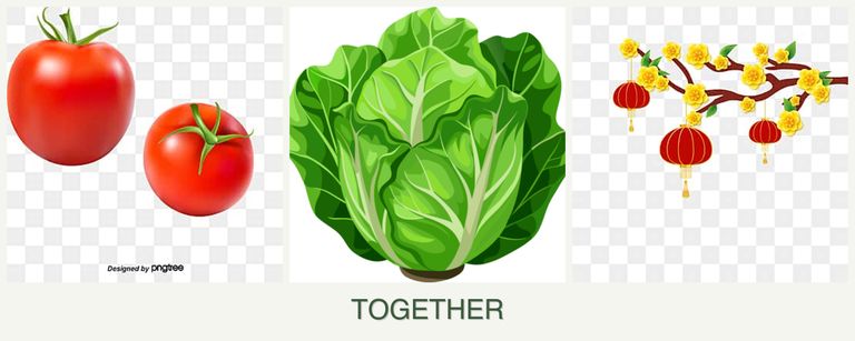 Can you plant tomatoes, lettuce and apricots together?