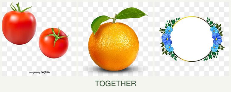 Can you plant tomatoes, oranges and zinnias together?
