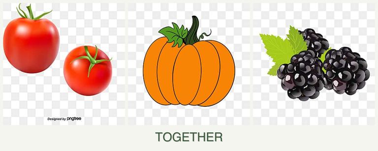 Can you plant tomatoes, pumpkin and blackberries together?