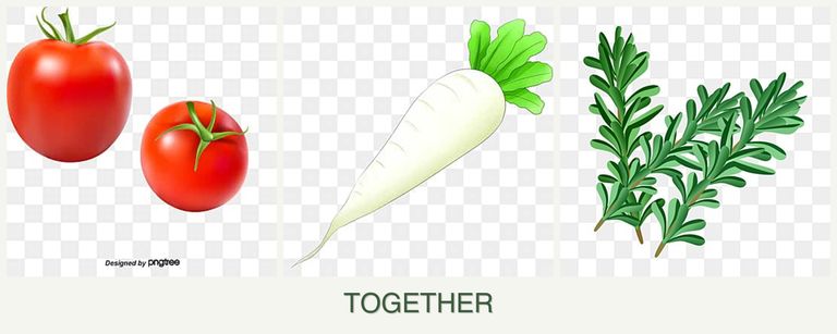 Can you plant tomatoes, radishes and rosemary together?