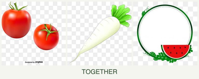 Can you plant tomatoes, radishes and watermelons together?