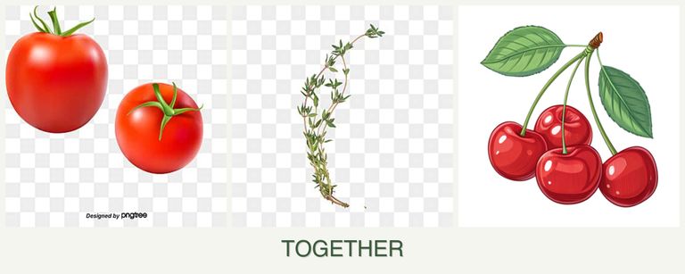 Can you plant tomatoes, thyme and cherries together?