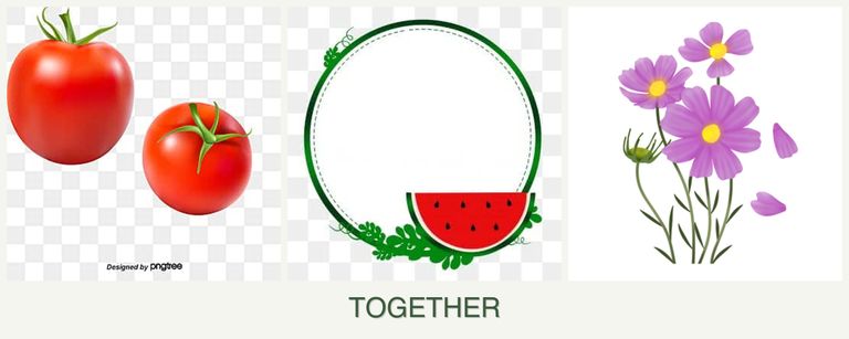 Can you plant tomatoes, watermelons and cosmos together?