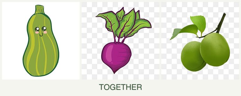 Can you plant zucchini, beets and plums together?