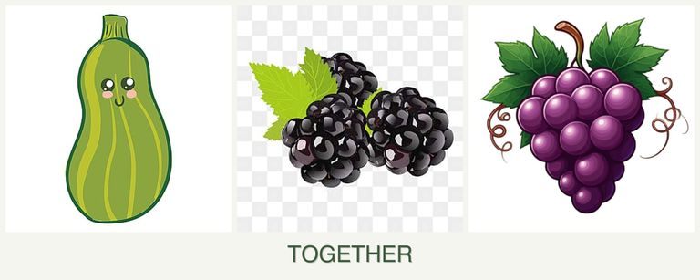 Can you plant zucchini, blackberries and grapes together?