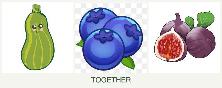 Can you plant zucchini, blueberries and figs together?