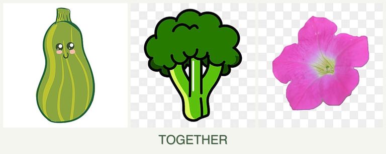 Can you plant zucchini, broccoli and petunias together?
