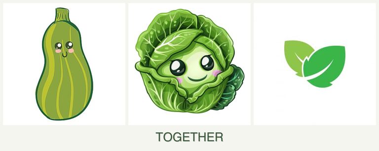 Can you plant zucchini, cabbage and mint together?