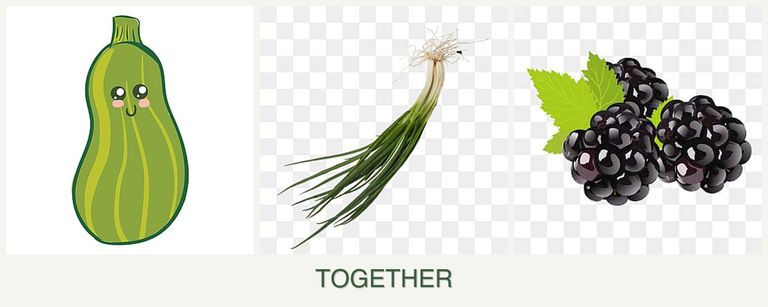Can you plant zucchini, chives and blackberries together?