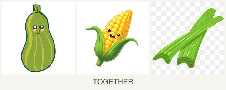 Can you plant zucchini, corn and celery together?