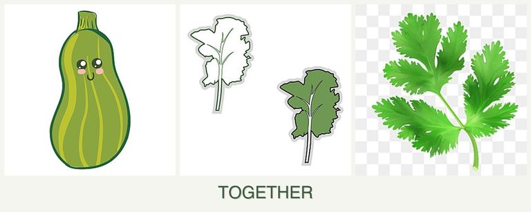 Can you plant zucchini, kale and parsley together?