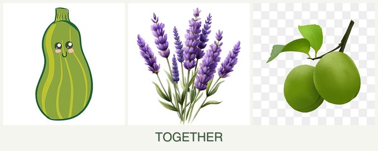 Can you plant zucchini, lavender and plums together?