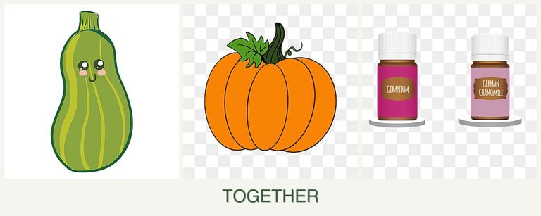Can you plant zucchini, pumpkin and geraniums together?