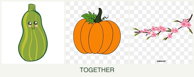 Can you plant zucchini, pumpkin and peaches together?
