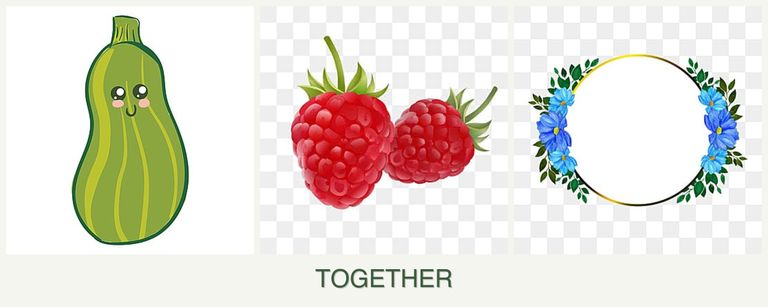 Can you plant zucchini, raspberries and zinnias together?