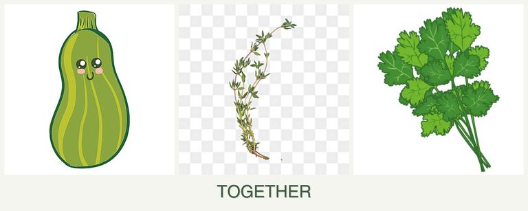 Can you plant zucchini, thyme and cilantro together?