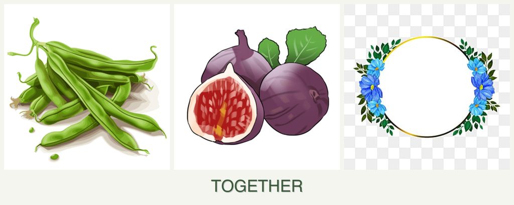 Can you plant beans, figs and zinnias together?