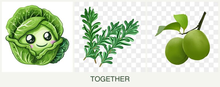 Can you plant cabbage, rosemary and plums together?
