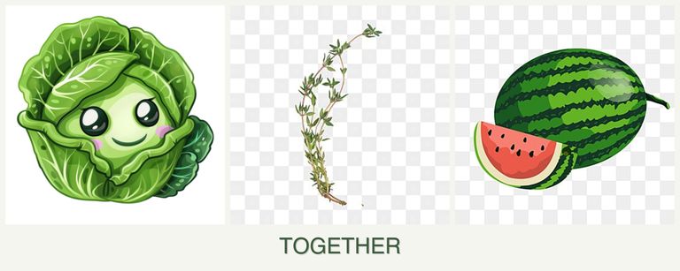 Can you plant cabbage, thyme and melons together?