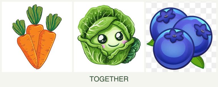 Can you plant carrots, cabbage and blueberries together?