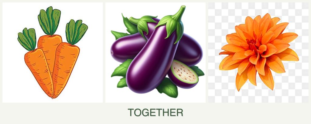 Can you plant carrots, eggplant and dahlias together?
