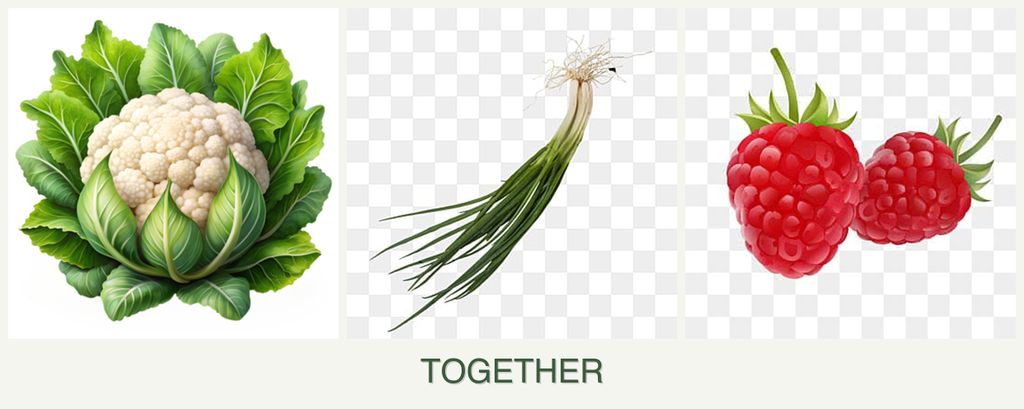 Can you plant cauliflower, chives and raspberries together?