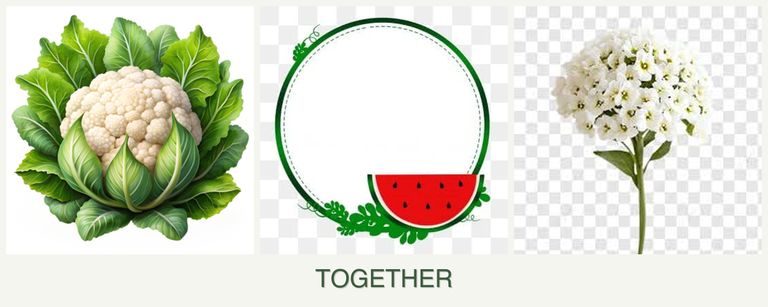 Can you plant cauliflower, watermelons and alyssum together?