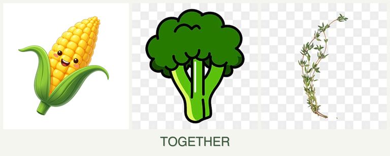 Can you plant corn, broccoli and thyme together?