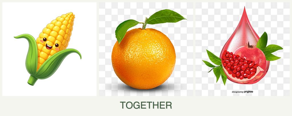 Can you plant corn, oranges and pomegranates together?