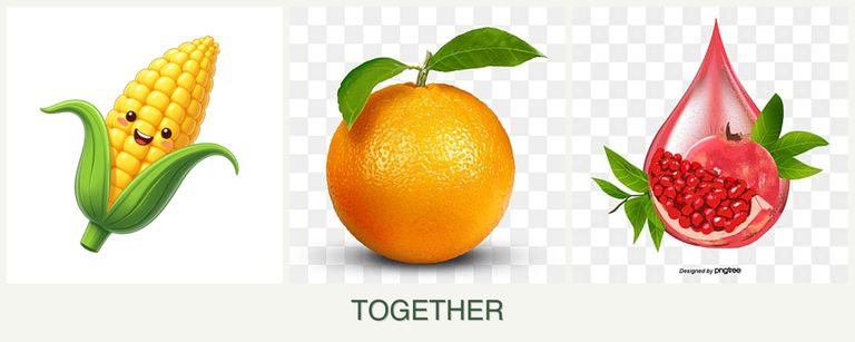 Can you plant corn, oranges and pomegranates together?